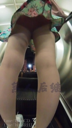 预览图15