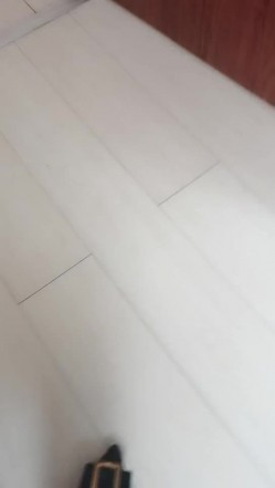 预览图9