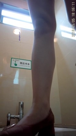 预览图2