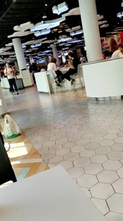 预览图13
