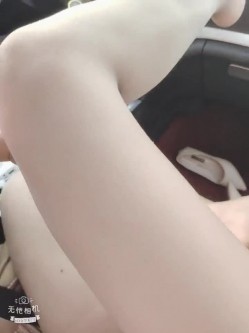 预览图7