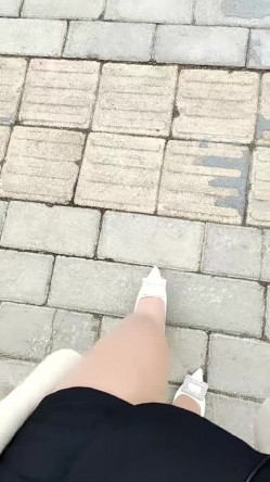 预览图7