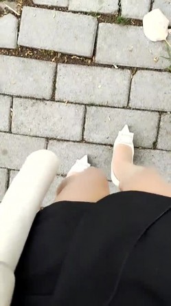 预览图8