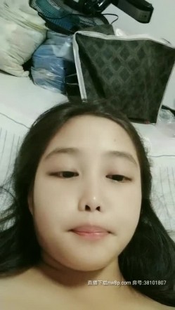 预览图8