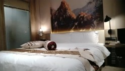 预览图5