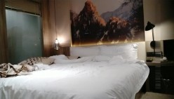 预览图13