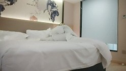 预览图1