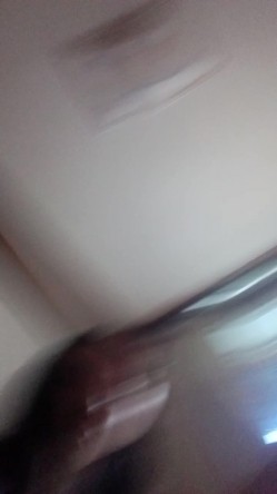 预览图4