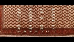 预览图9
