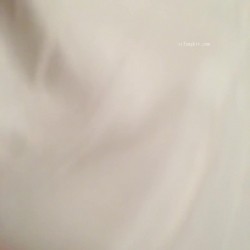 预览图4