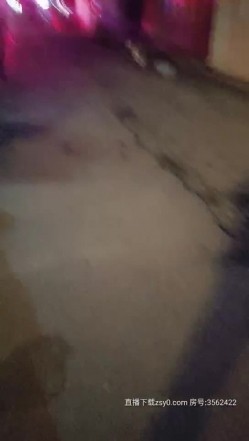 预览图1