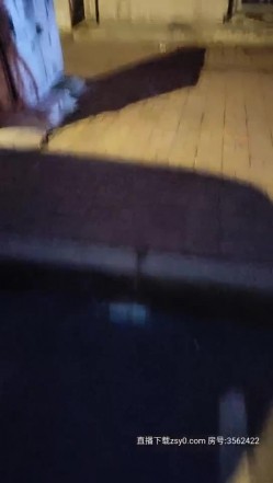 预览图5