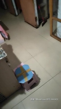 预览图7
