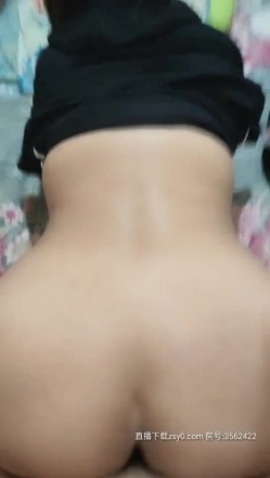 预览图13