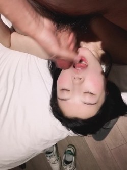 预览图6