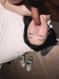 预览图8