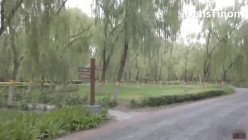 预览图8