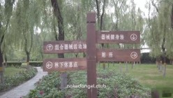 预览图10