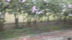 预览图11