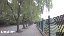 预览图12
