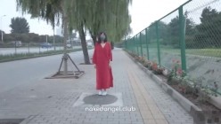 预览图14