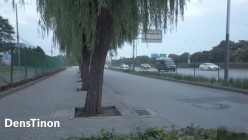 预览图16
