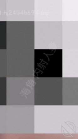 预览图4