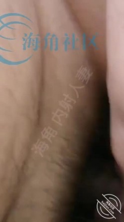 预览图8