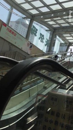预览图1