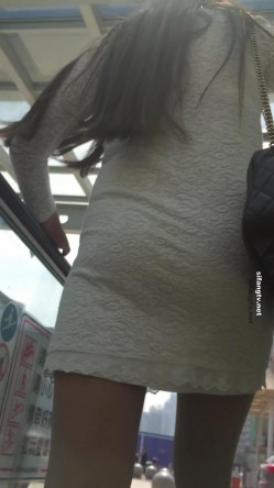 预览图11