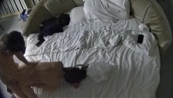 预览图4
