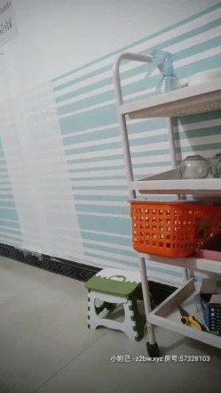 预览图8