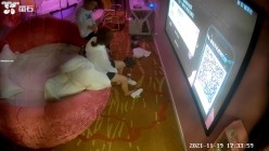 预览图10