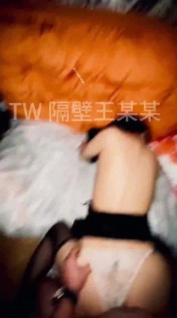 预览图13