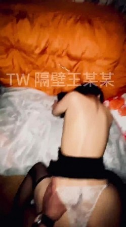 预览图14