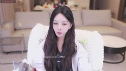 预览图4