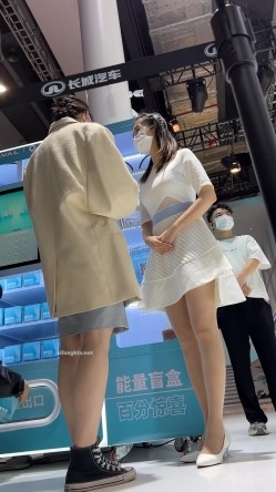 预览图2