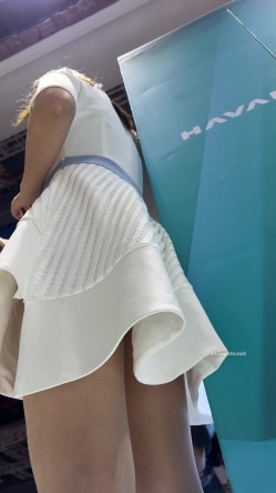 预览图8
