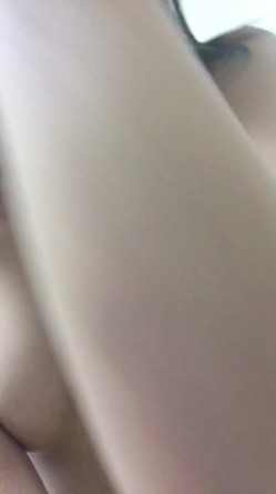 预览图4