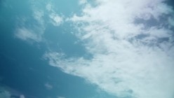 预览图8