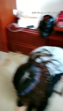 预览图5