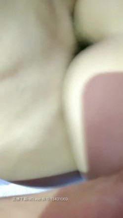 预览图12