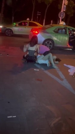 预览图14