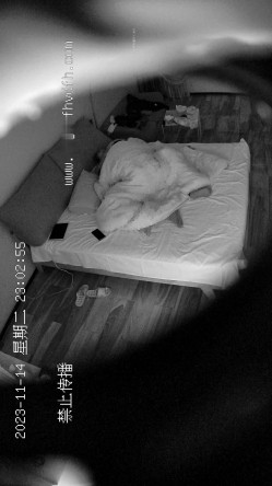 预览图6