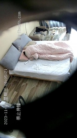 预览图10
