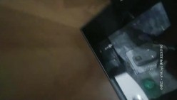 预览图14
