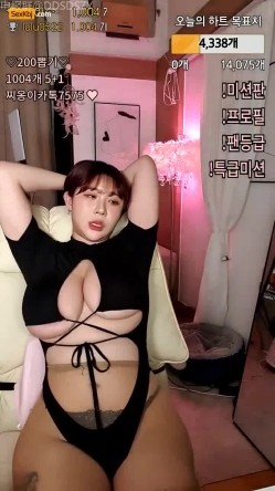 预览图5