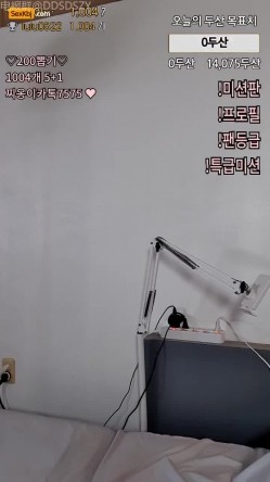 预览图7