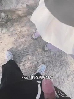 预览图4