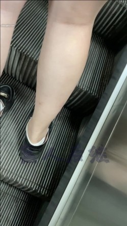 预览图4